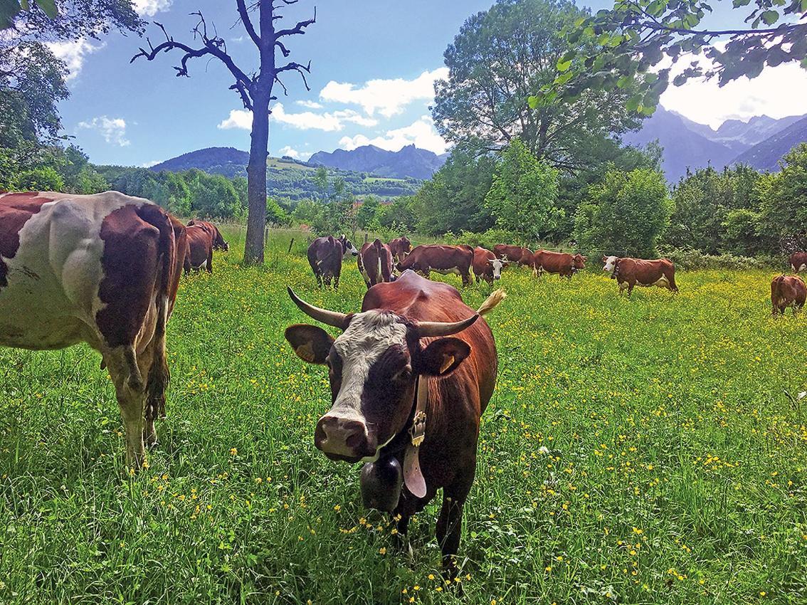 ลูร์ฌเซอรี บีแอนด์บี Bed & Breakfast Saint-Paul-en-Chablais ภายนอก รูปภาพ
