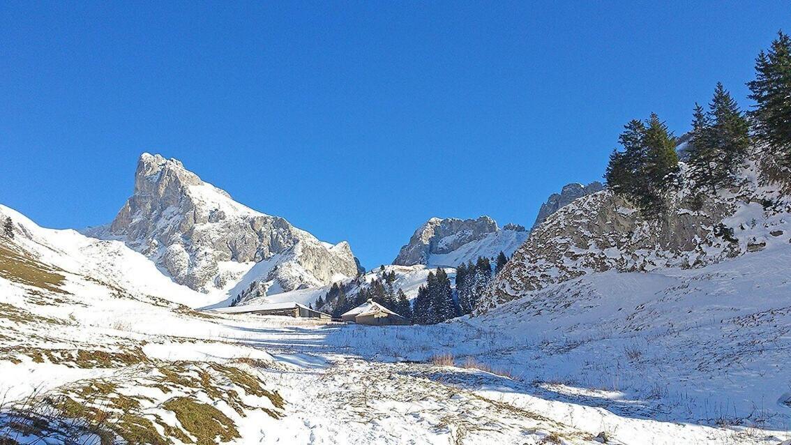 ลูร์ฌเซอรี บีแอนด์บี Bed & Breakfast Saint-Paul-en-Chablais ห้อง รูปภาพ
