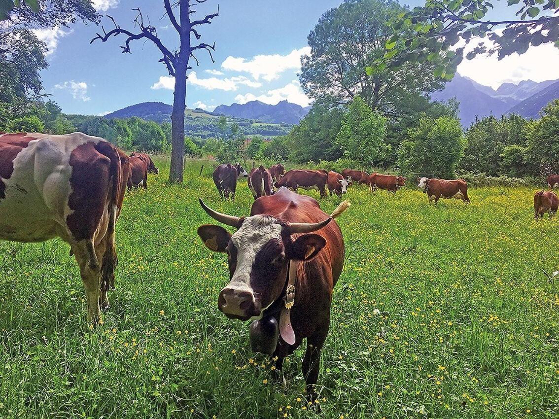 ลูร์ฌเซอรี บีแอนด์บี Bed & Breakfast Saint-Paul-en-Chablais ห้อง รูปภาพ